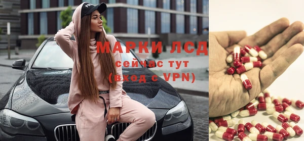 гидра Алексеевка